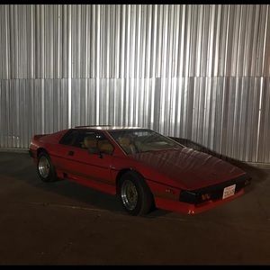 Meet your Posher, George